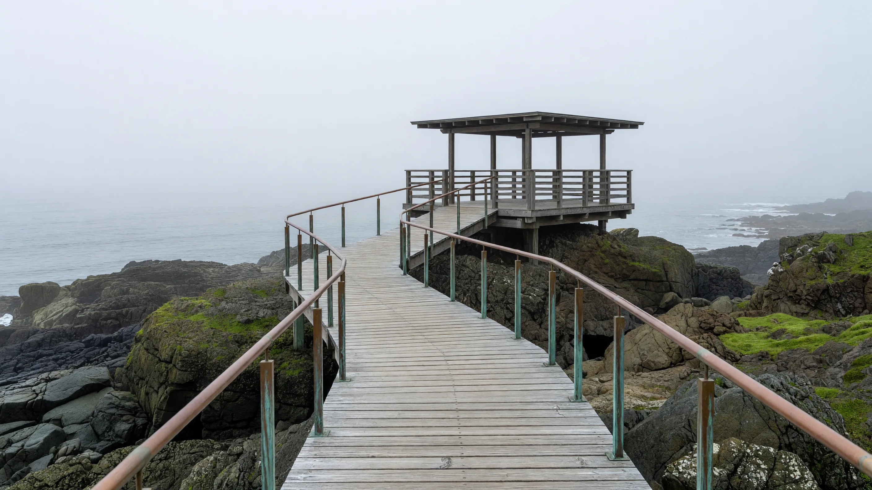 Wooden Walkway to Perch